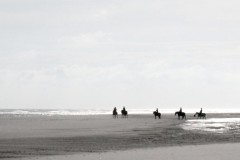 strand-ausritt-alles glück dieser erde liegt auf dem rücken der pferde